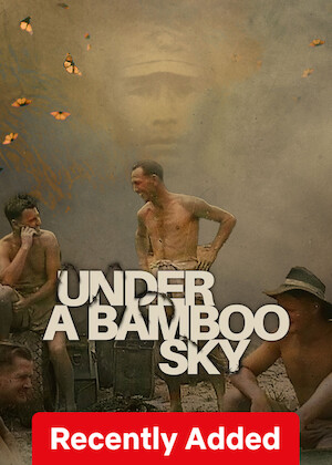 Under a Bamboo Sky poster